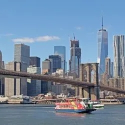 Example Image